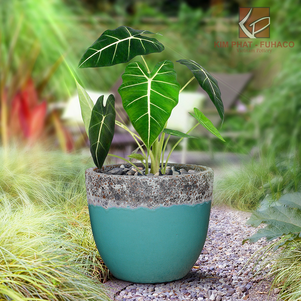 RELIC GREY over FALLING GREEN